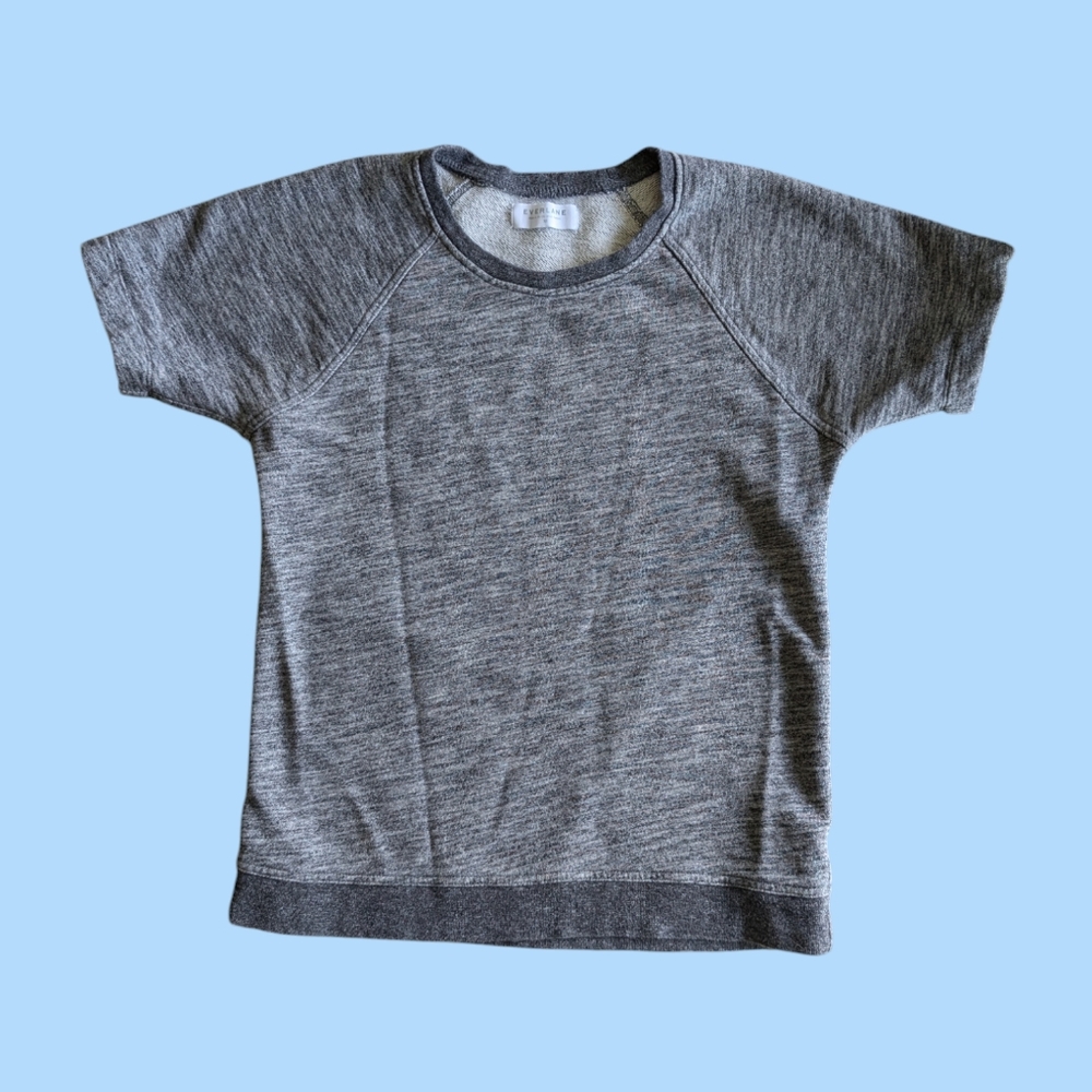 Everlane tunic sweatshirt in grey marled